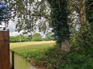 Ivy Retreat, Dog Friendly Static Caravan - 2