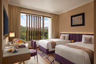 Vivanta Ekta Nagar - 3