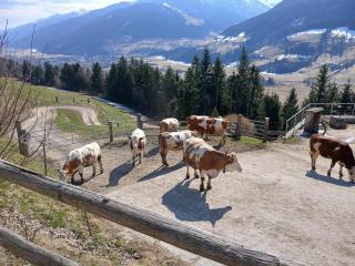 Flat in Mittersill near Ski Lift - 7