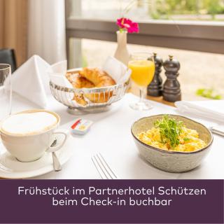 Hotel Schiff am Rhein - 5