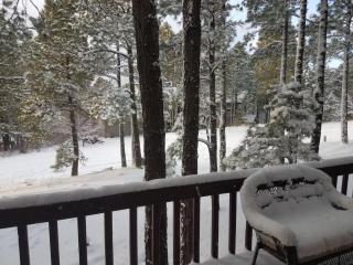 Burning Tree Lodge - Forest Views Fire Pit AC Pet and Family Friendly - 4