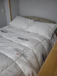 AELA guest house Signaghi - 1