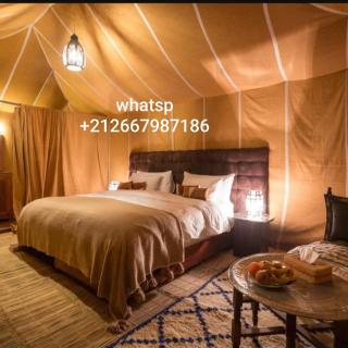 Noor Luxury Camp - 8
