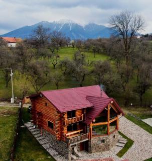 Nomad Escape Bran - 0