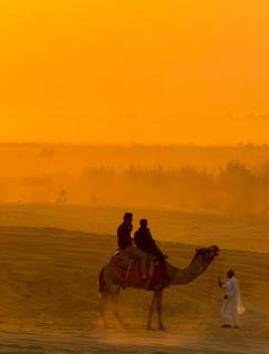 Desert Villa Luxury Camp & Resort Jaisalmer - 9