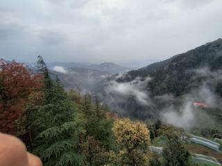 The peace holiday home stay - 9