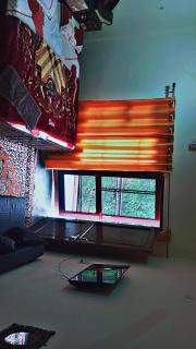 The peace holiday home stay - 1