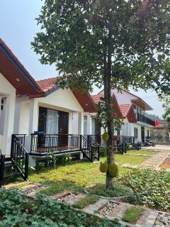 An Khang Homestay - 5