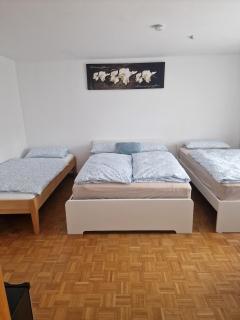 Einzimmerwohnung mit küche und Bad - 0