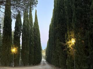 Villa Panconesi - 7