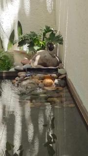 Private Oasis - Jacuzzi - Hammock - Water Feature - 5