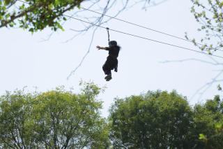 Vishalgarh Farms - 3