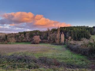 Chabaillac - Gite - 4