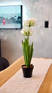 Osada Trawna Góra - luksusowe domki - basen, sauna, eco offroad - 7