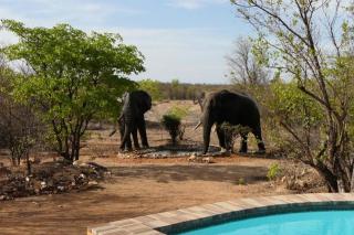 Bushvilla Umoja Kruger - 8