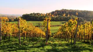 Molengats Luxe Appartement Zuid Limburg Airco Topbeoordeeld - 4