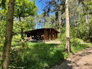 Ferienhaus Waldeule - 0