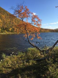 Opplev Finnmarksvidda - 8