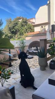 Salt&Sea Summer House Mandre - 7