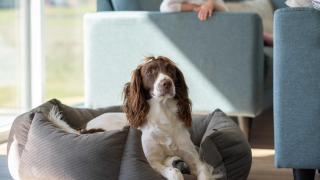 Villavilla 696 - Skåstrup Strand, Fyn Og Øer - 6