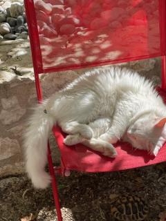 La Tranquilitude - Ceyzérieu - 5