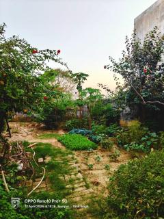 Perfect Home Stay for Guests & Families - 7