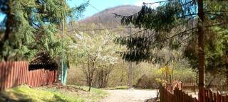 Báránykő Apartman - 3