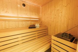 Die Steinberg Chalets - Boutique-Apartments mit privater Sauna und Bergblick - 2