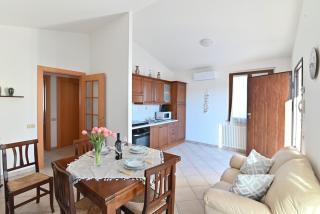 IzzHome Olive Tree - 3