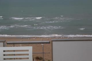 Dimore di Mare - Termoli - 3