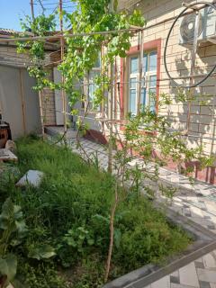 hotel for decent people - 5