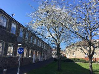 Superb Peaceful 1 bed apartment in St George. - 5