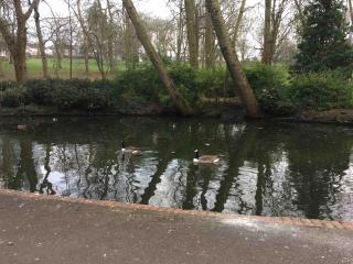 Superb Peaceful 1 bed apartment in St George. - 8