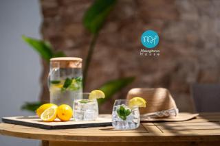 Mesogitonia House - 0