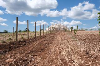 Agriturismo TENUTA MAGALEPPO di Basile Miriana - 8