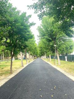 Camping 4 Cerchi Ecogreen - 4