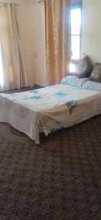 Gogo valley guest house - 6