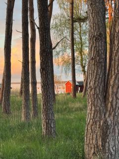 Spacious and bright, close to the beach & centrally located in Båstad - 6