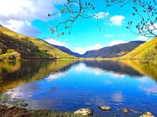 Pen-Y-Bont Hotel - 8