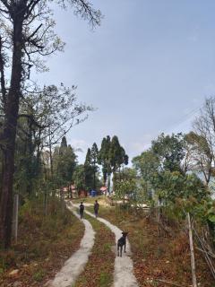 Whispering Pines Farmstay - 2