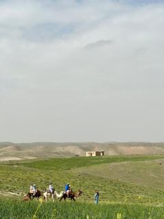 The seven saints - luxury camp - lodges & tents - desert activities - 5