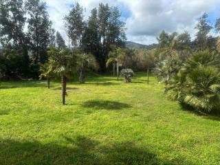 Casamea - 2