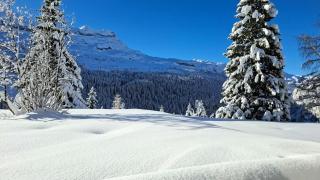 Résidence Belier - Appartement confortable et lumineux · Au pied des pistes · WIFI gratuit et illimité MAE-7384 - 7