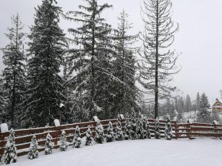 Apartament z kogutem - Zakopane - 8