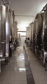 Bed&Wine Terrae Tiferni - 9