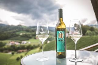 Weingut Gaube - 9