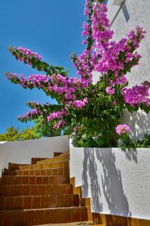 Bella Vista Apartments - 2