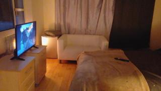 Countryside manor - 2