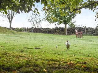 York Apartment - Commondale - 8