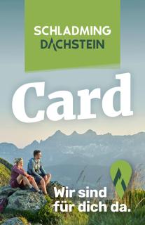 AlpinHerz Bio Penthouse Apartment - 9